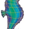 fenderink9