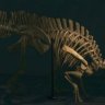 Elio5P