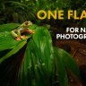 fadedali