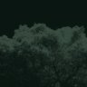 MiroScope8