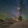 route_amber
