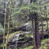 baselane5