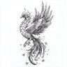 IdrisQ9