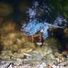 garroway