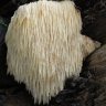 swarfbin3