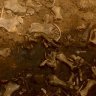 NoahLan23