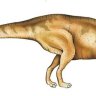 GioTangle
