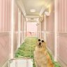 roombuzz2