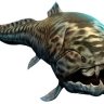 catoquiet