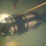 lamprey11