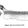 IrisMere