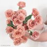 MaraVise2