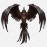 AmpClothMel