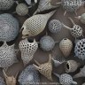 lensflarey