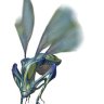 CleoRoute9