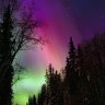 NoraDent