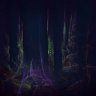 omarloop8