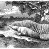 PieroNotes