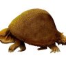 TariqMop9