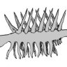 chapter9b