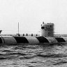 ZaraBay11