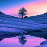 LenaVHS8
