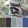 yardchalk3