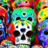 tariq01