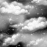 rivet81