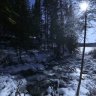 marten6