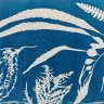 TaoBoard4
