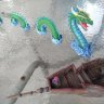 pondwalk7
