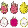 OrenDot