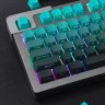 CatoBuzz9