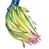 wickedspline
