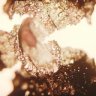 Hobie102