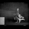 buzzcoat9