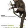 page-me7