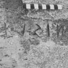 MarcoV11