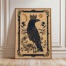 FarahNudge