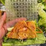 pothanger