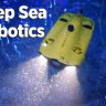 ReefBoy40