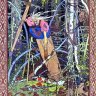 wireloom7