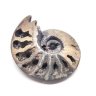 AlbaDock6