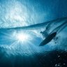 sprout3am