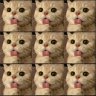 kevspare5