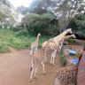 kofiStep