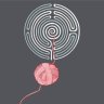 wader05