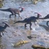 EvanQ8