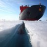 bezzer11